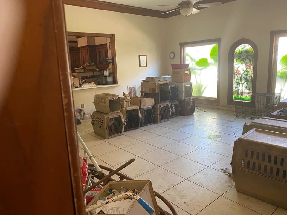 More than 220 animals were seized from a Katy area home in late February. The condition of the home did not support good health for the resident of the home nor the animals, officials said.